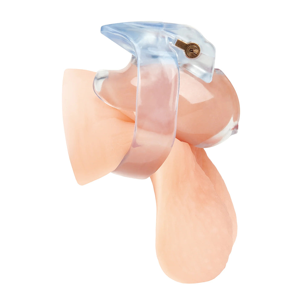 Small Dick Acrylic Mini Chastity Cage