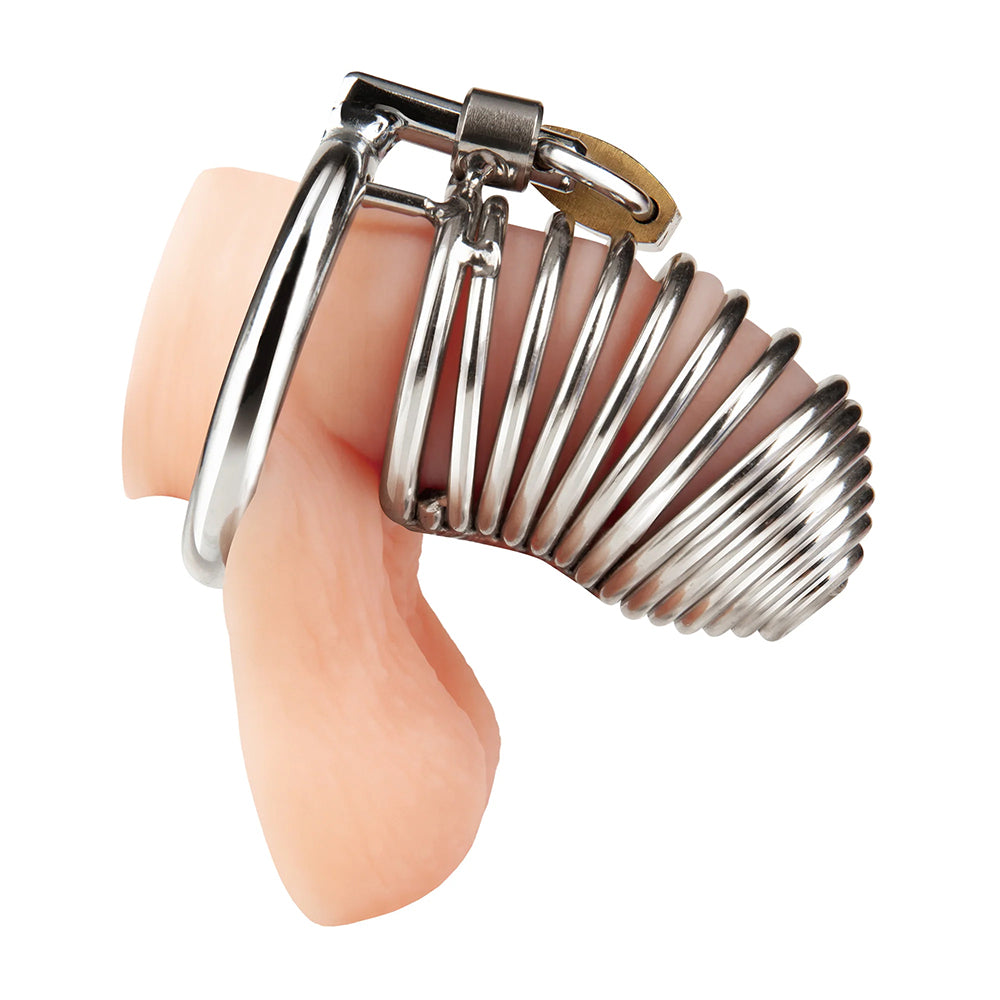 Stainless Steel Prisoner Cock Cage