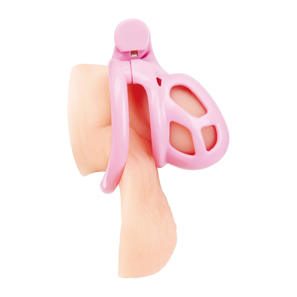 Small Pink Humiliation Acrylic Prisoner Cock Cage