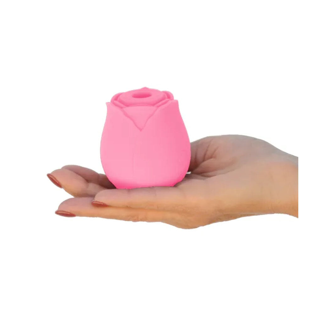 The One Rose Pink