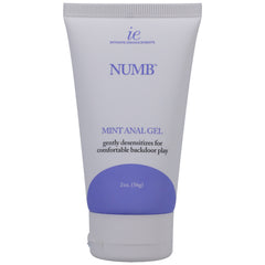 Intimate Enhancements Numb Anal Gel Mint