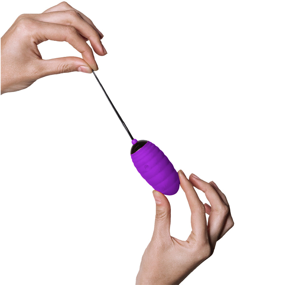 Adrien Lastic Ocean Breeze 2.0 Ultra Powerful Vibrating Egg Purple/Black