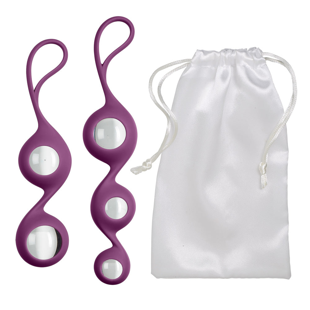 Cloud 9 Health & Wellness Borosilicate Training Set Plum
