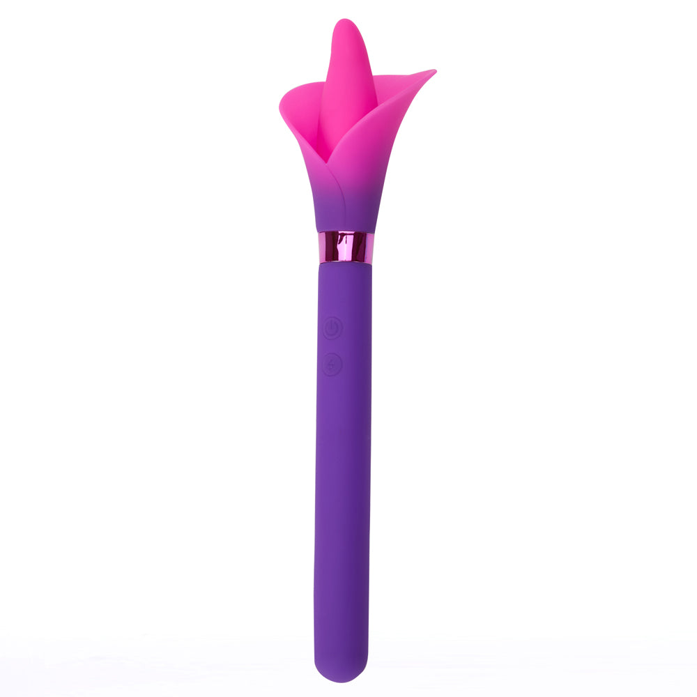 Maia Vala Purple