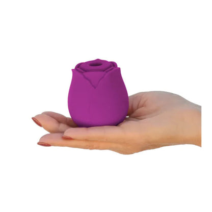 The One Rose Purple