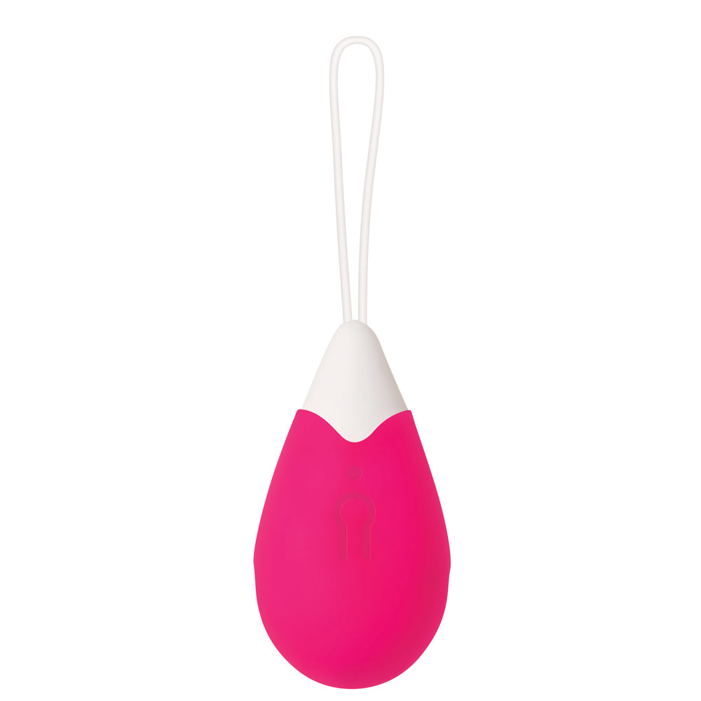 Rechargeable Remote Control Egg
