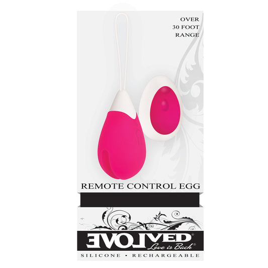 Rechargeable Remote Control Egg