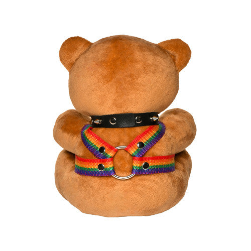 Master Series Pride Bear – A Symbol of Love and Inclusivity