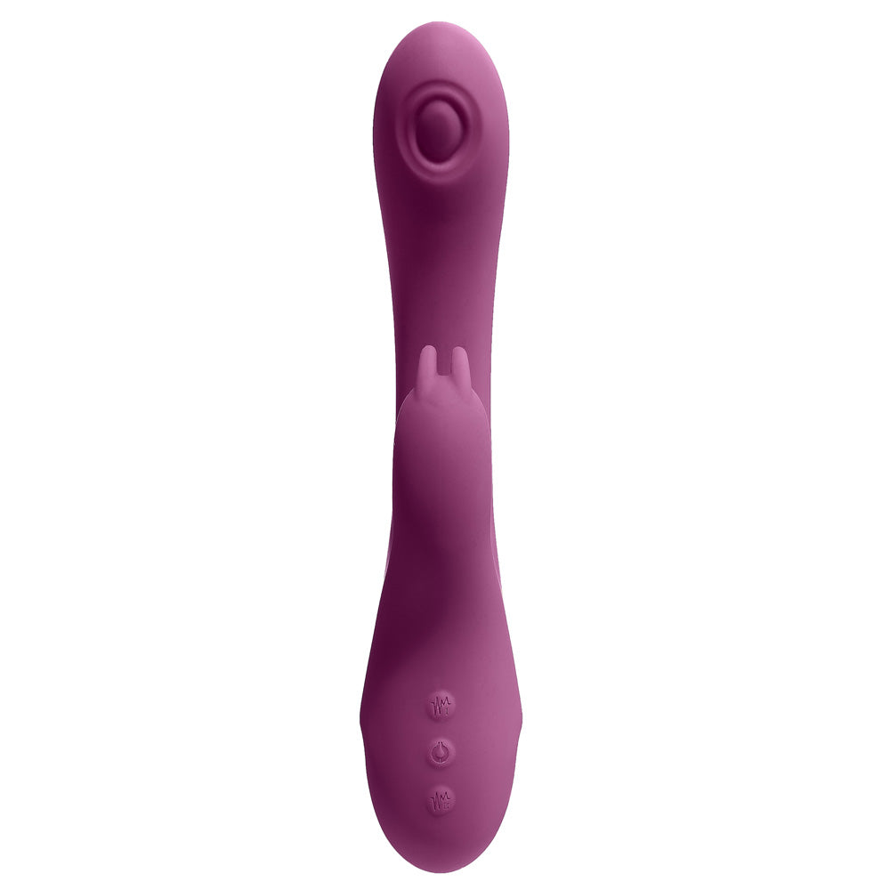 Pro Sensual Series Magnetic Pulsation And Air Pulsation G Spot Rabbit Plum