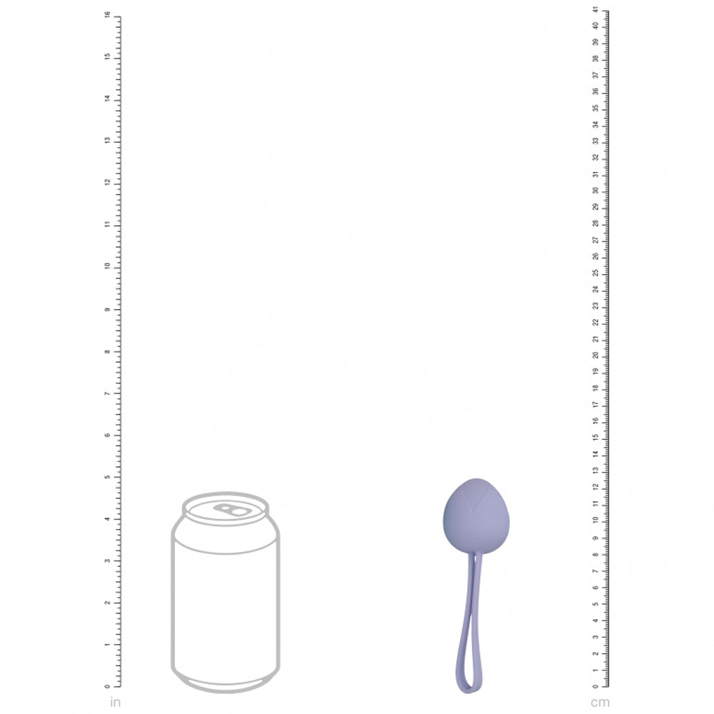 Loveline PelviFit Kegel Kit – Multiweight Berry Pelvic Floor Exerciser, Multicolor